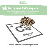 EntoZoo - Insektenpüree im Glas schwarze Soldatenfliege Larven