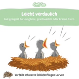 EntoZoo - Insektenpüree im Glas schwarze Soldatenfliege Larven