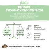 EntoZoo - Insektenpüree im Glas schwarze Soldatenfliege Larven