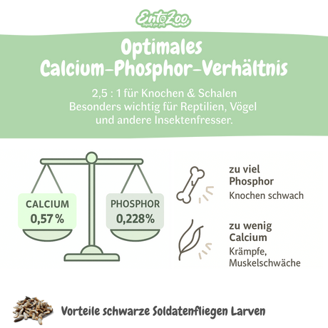 EntoZoo - Insektenpüree im Glas schwarze Soldatenfliege Larven