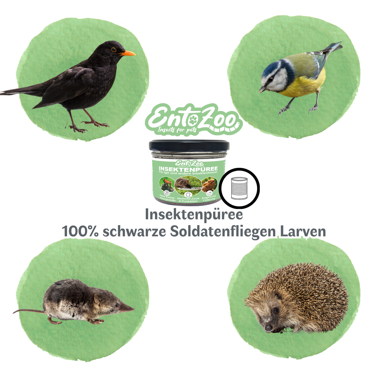 EntoZoo - Insektenpüree im Glas schwarze Soldatenfliege Larven