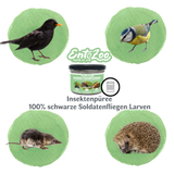 EntoZoo - Insektenpüree im Glas schwarze Soldatenfliege Larven