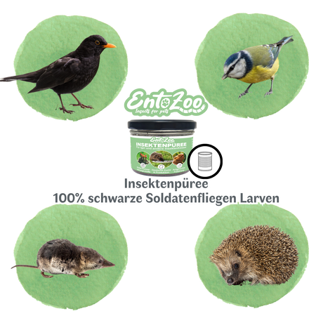 EntoZoo - Insektenpüree im Glas schwarze Soldatenfliege Larven