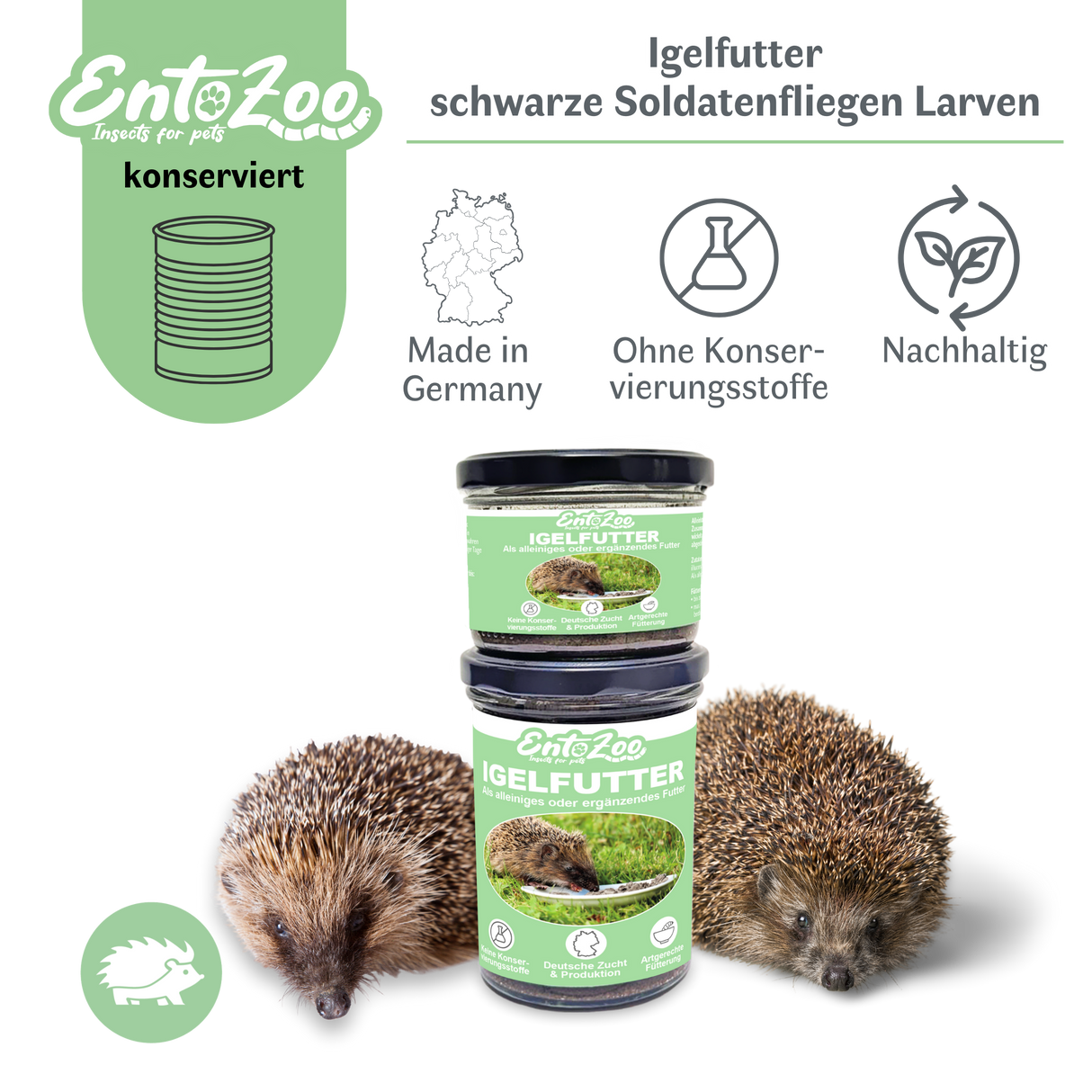 EntoZoo - Igelfutter im Glas - schwarze Soldatenfliegen Larve