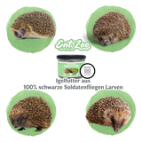 EntoZoo - Igelfutter im Glas - schwarze Soldatenfliegen Larve