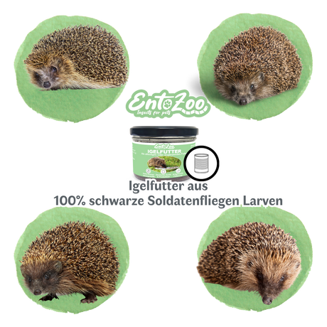 EntoZoo - Igelfutter im Glas - schwarze Soldatenfliegen Larve