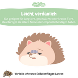 EntoZoo - Igelfutter im Glas - schwarze Soldatenfliegen Larve
