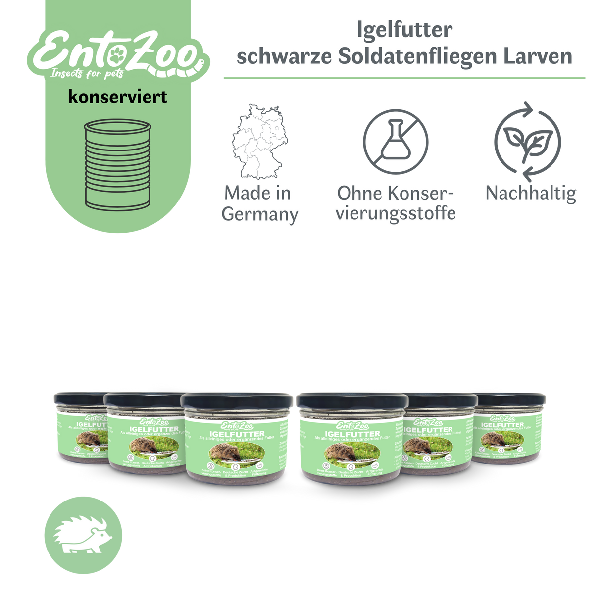 EntoZoo - Igelfutter im Glas - schwarze Soldatenfliegen Larve