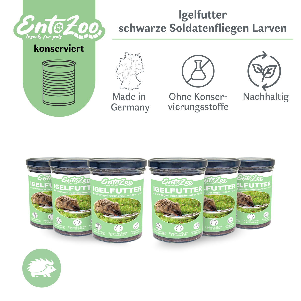 EntoZoo - Igelfutter im Glas - schwarze Soldatenfliegen Larve