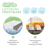 EntoZoo - Gefrorene Wanderheuschrecken (locusta migratoria) (Groß - Adult)