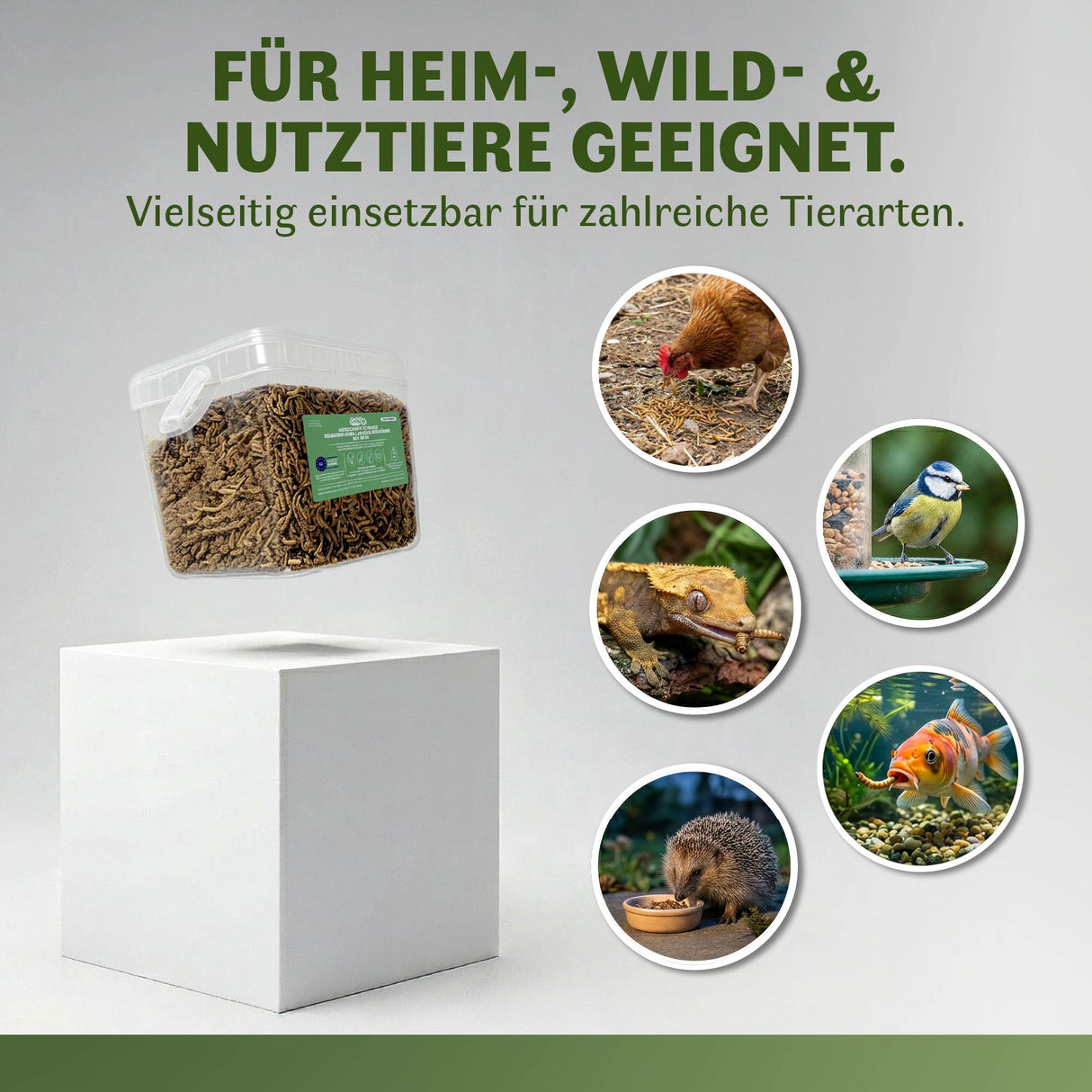 Grafische Produktdarstellung eines 50:50 Mixes aus getrockneten Schwarzen Soldatenfliegenlarven und Mehlwürmern. Geeignet als hochwertiges Einzelfuttermittel für Heim-, Wild- und Nutztiere wie Hühner, Wildvögel, Reptilien, Fische und Igel. Vielseitig einsetzbar, schonend getrocknet, ohne Zusatzstoffe.