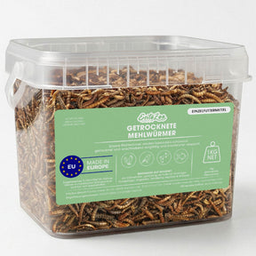Produktbild eines transparenten Kunststoffbehälters mit 1 kg getrockneten Mehlwürmern von EntoZoo. Schonend getrocknetes Einzelfuttermittel, hergestellt in Europa, frei von Zusatzstoffen und futtermittelrechtlich zugelassen. Geeignet für Hühner, Wildvögel, Reptilien, Fische und weitere Tierarten.