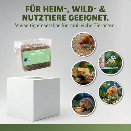 Anwendungsübersicht für getrocknete Schwarze Soldatenfliegenlarven als Einzelfuttermittel. Dargestellt sind verschiedene Tierarten wie Hühner, Wildvögel, Reptilien, Fische und Igel, für die das Produkt geeignet ist. Im Mittelpunkt steht ein transparenter Behälter mit getrockneten Schwarzen Soldatenfliegenlarven von EntoZoo. Vielseitig einsetzbar für Heim-, Wild- und Nutztiere.