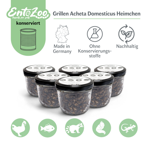 EntoZoo - ganze Heimchen im Glas - einzeln entnehmbar - als Futtertier