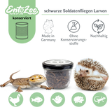 EntoZoo - ganze schwarze Soldatenfliegen Larven im Glas - einzeln entnehmbar - als Futtertier 100g