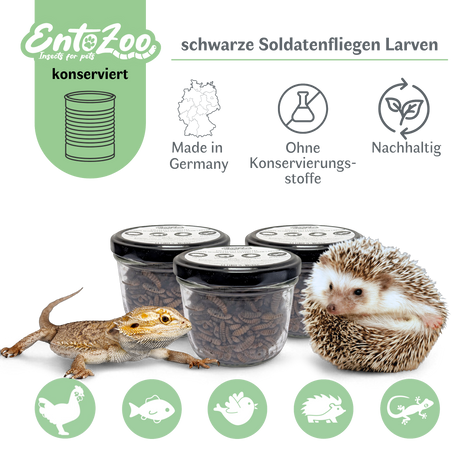 EntoZoo - ganze schwarze Soldatenfliegen Larven im Glas - einzeln entnehmbar - als Futtertier 100g