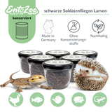 EntoZoo - ganze schwarze Soldatenfliegen Larven im Glas - einzeln entnehmbar - als Futtertier 100g