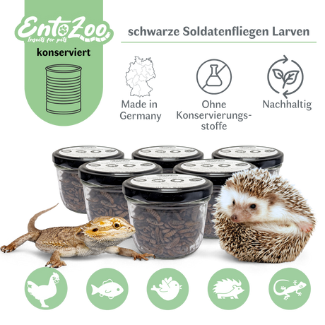 EntoZoo - ganze schwarze Soldatenfliegen Larven im Glas - einzeln entnehmbar - als Futtertier 100g
