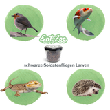 EntoZoo - ganze schwarze Soldatenfliegen Larven im Glas - einzeln entnehmbar - als Futtertier 100g