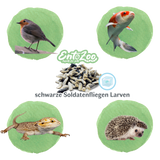 Gefroren Schwarze Soldatenfliegen Larven Hermetia illucens - groß - einzeln entnehmbar