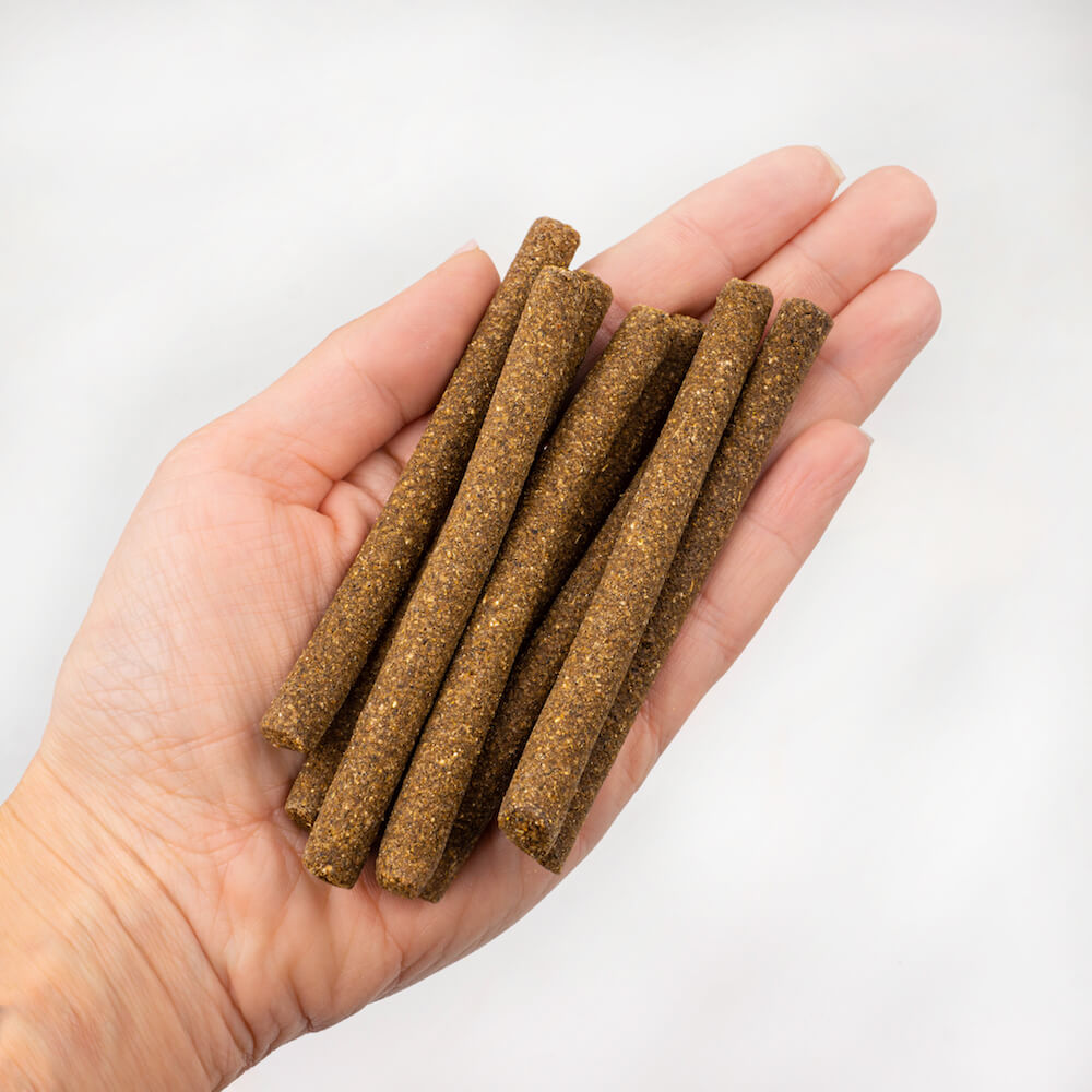 Tenetrio - Hundesticks Papaya Minze für frischen Hundeatem