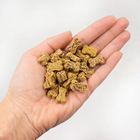 Tenetrio -  Hundekekse Hanf Süßkartoffel Ruhe Ausgeglichenheit stressreduzierend