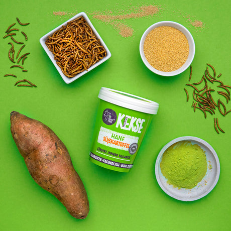 Tenetrio -  Hundekekse Hanf Süßkartoffel Ruhe Ausgeglichenheit stressreduzierend