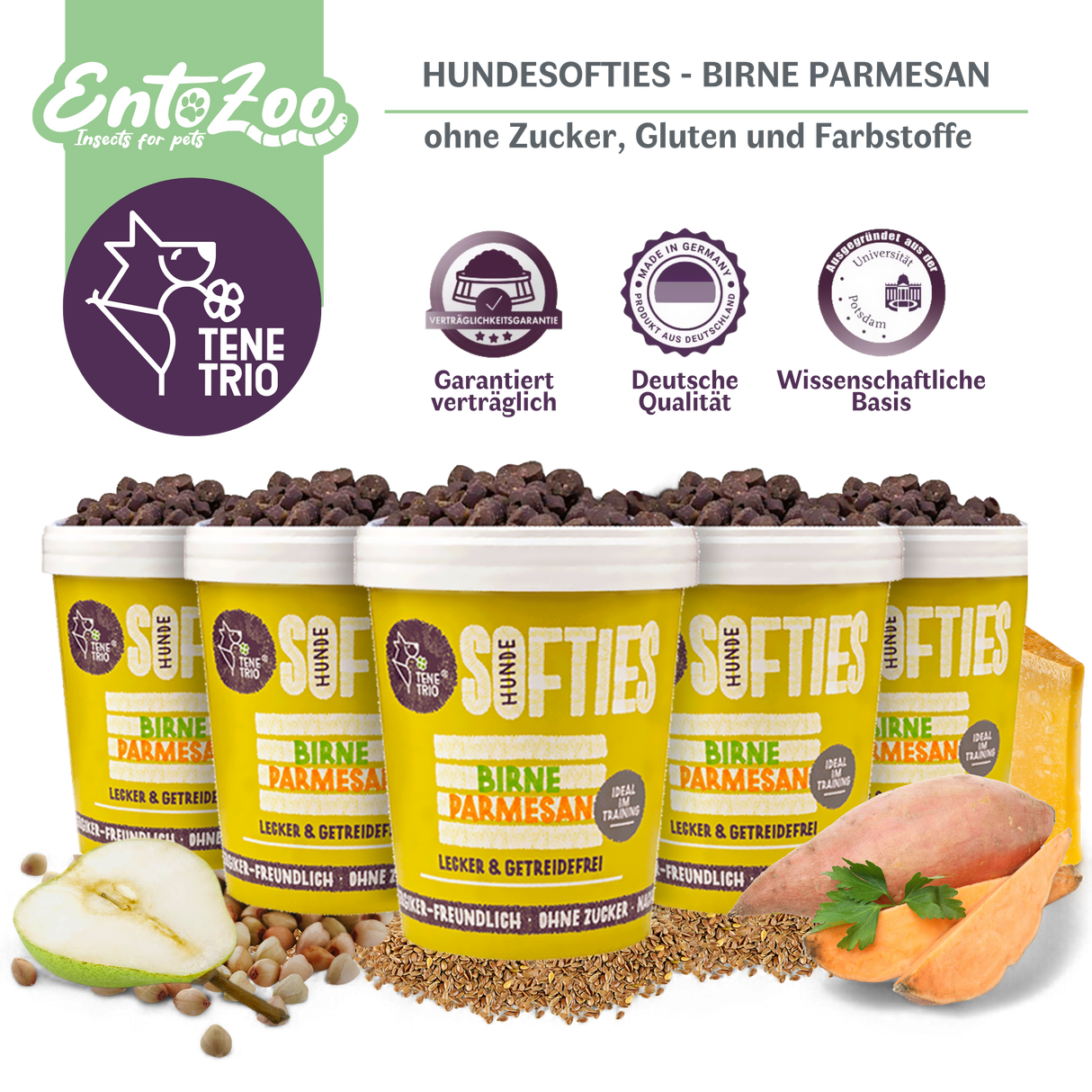 Tenetrio - Hundesofties Birne Parmesan Darm anregend, Cholesterin regulierend