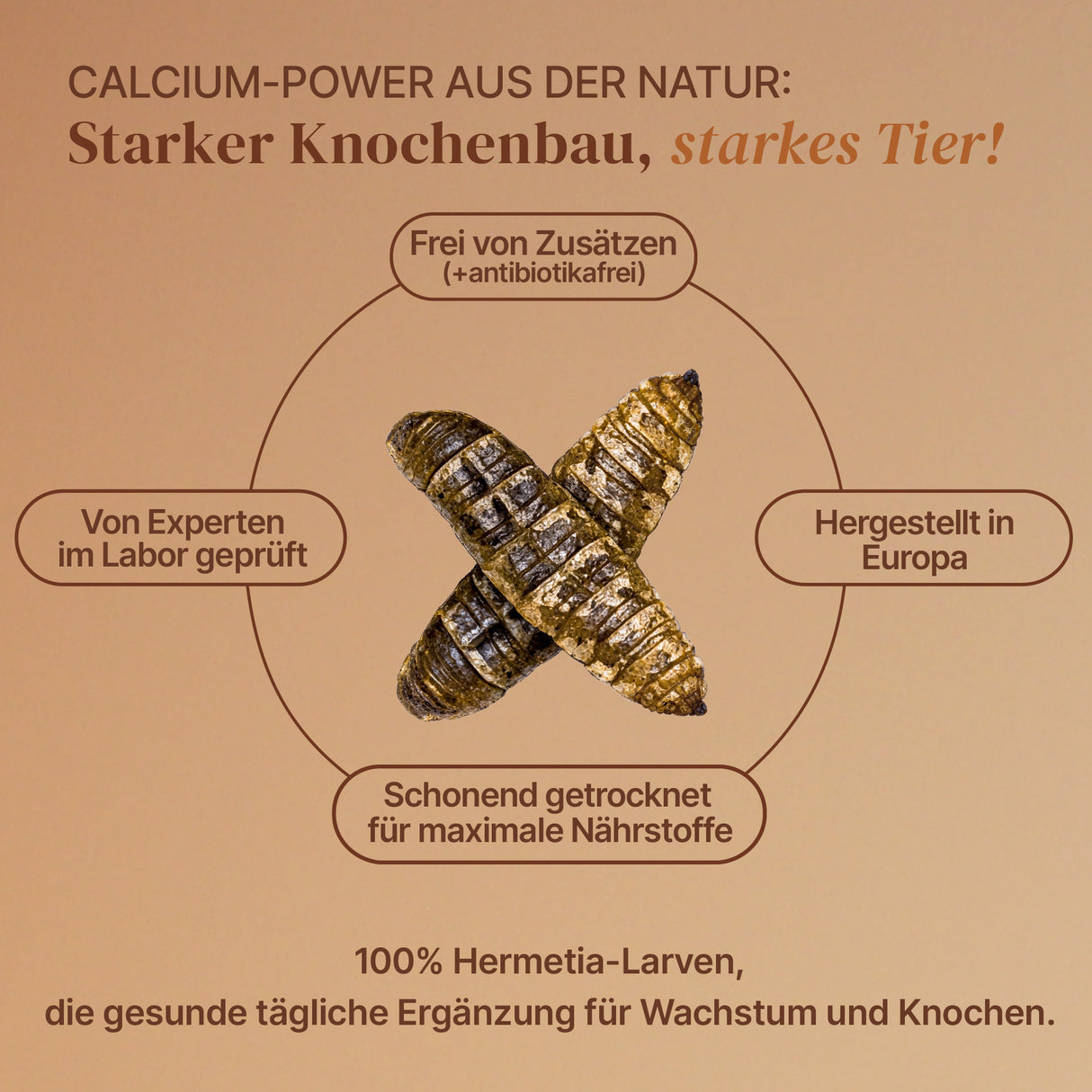EntoZoo - Wildtierfutter - ganze Hermetia blanchiert im Pouch 100g