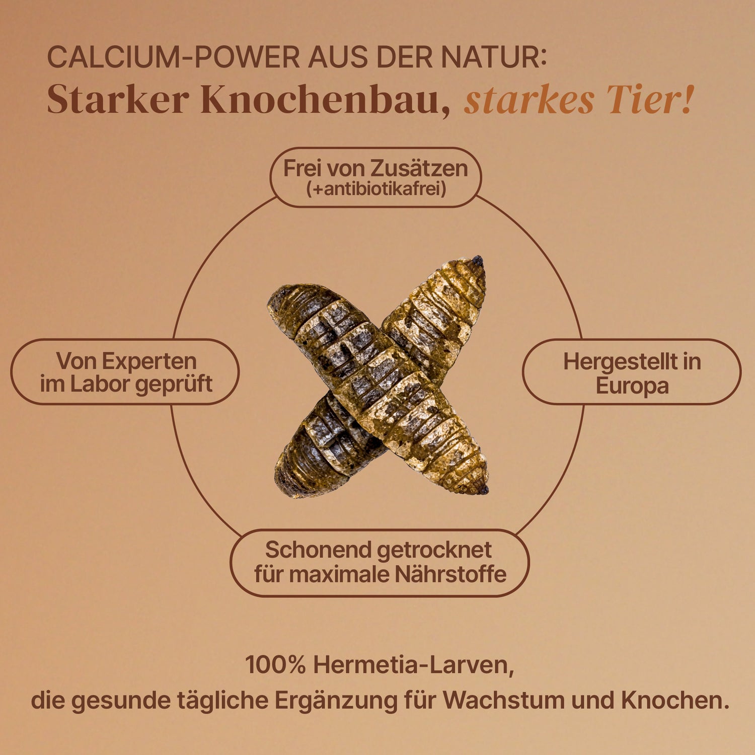 EntoZoo - Wildtierfutter - ganze Hermetia blanchiert im Pouch 100g