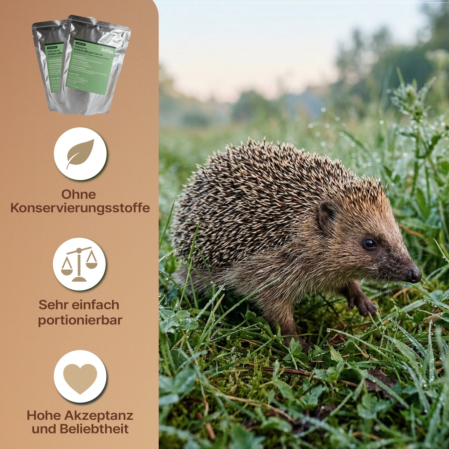 EntoZoo - Wildtierfutter - ganze Hermetia blanchiert im Pouch 100g