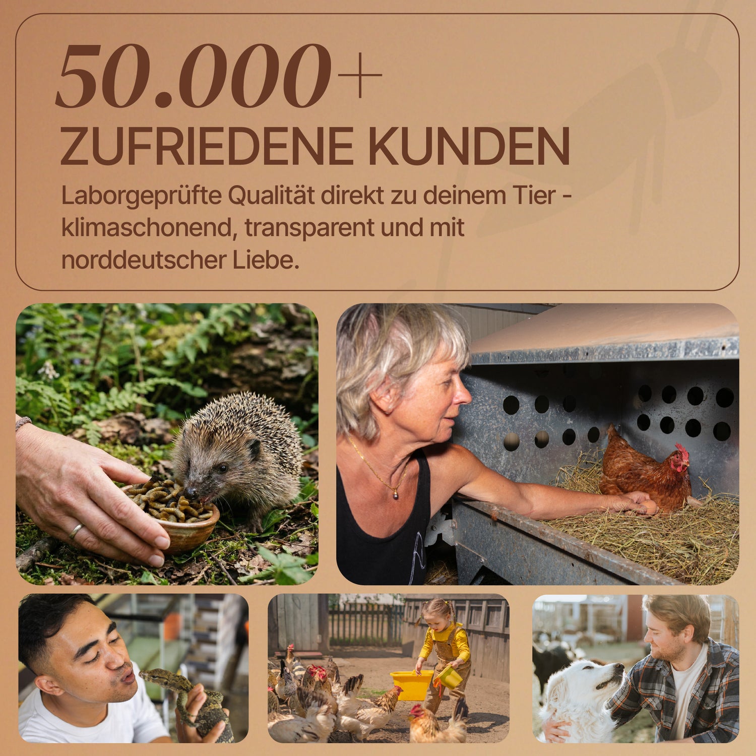 EntoZoo - Wildtierfutter - ganze Hermetia blanchiert im Pouch 100g