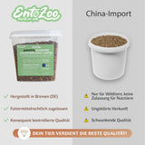 EntoZoo -  getrocknete gepuffte schwarze Soldatenfliegenlarve