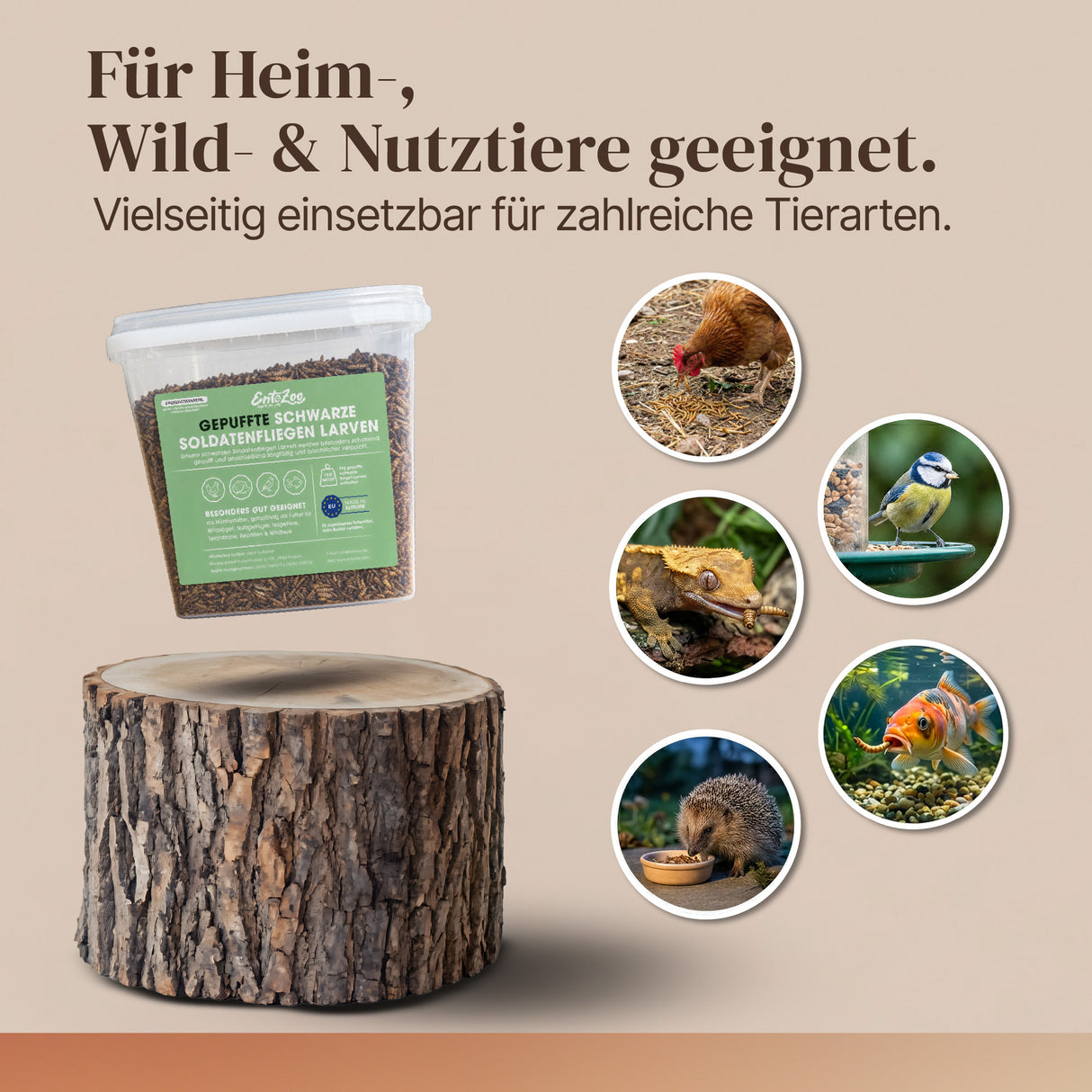 EntoZoo -  getrocknete gepuffte schwarze Soldatenfliegenlarve