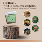 EntoZoo -  getrocknete gepuffte schwarze Soldatenfliegenlarve