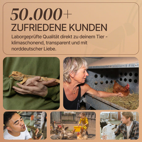 EntoZoo -  getrocknete gepuffte schwarze Soldatenfliegenlarve