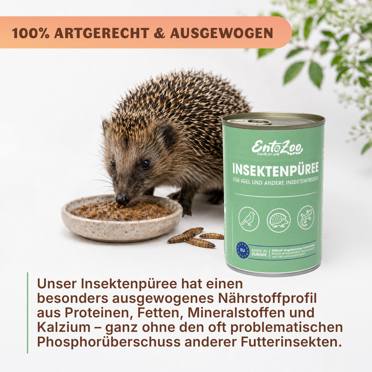 EntoZoo - Wildtierfutter - Hermetia Püree in der Dose 400g