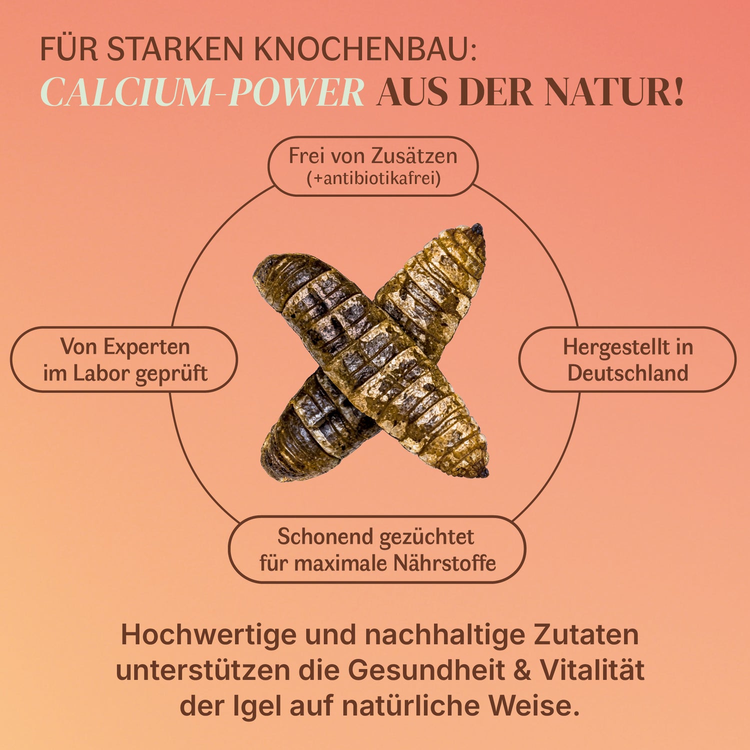 EntoZoo - Wildtierfutter - Hermetia Püree in der Dose 400g