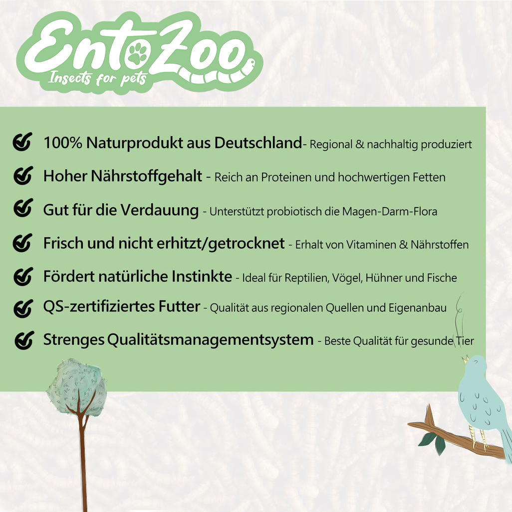 Lebende Mehlwürmer als Futtertier