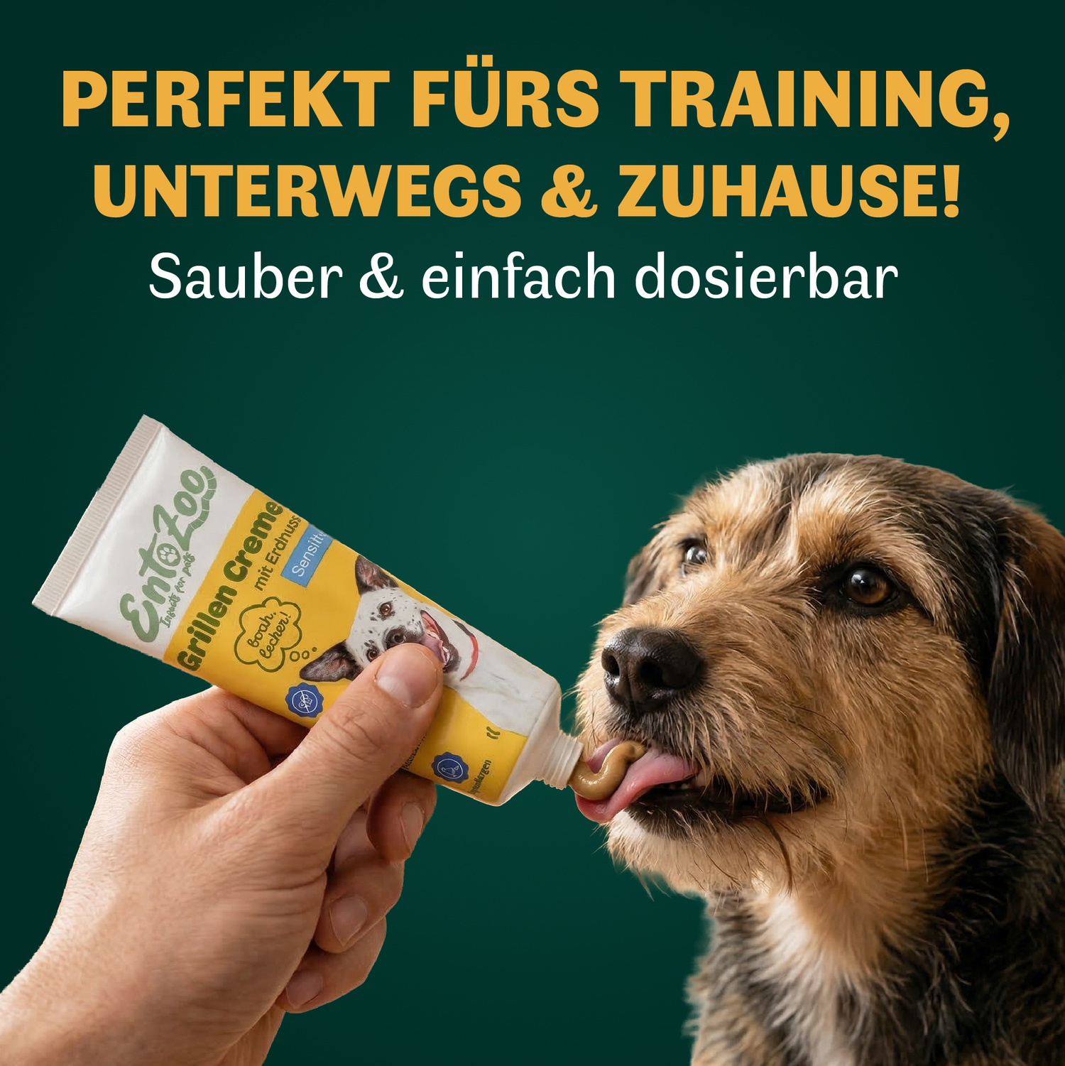 EntoZoo - Grillen Creme - Sensitiv - mit Erdnuss