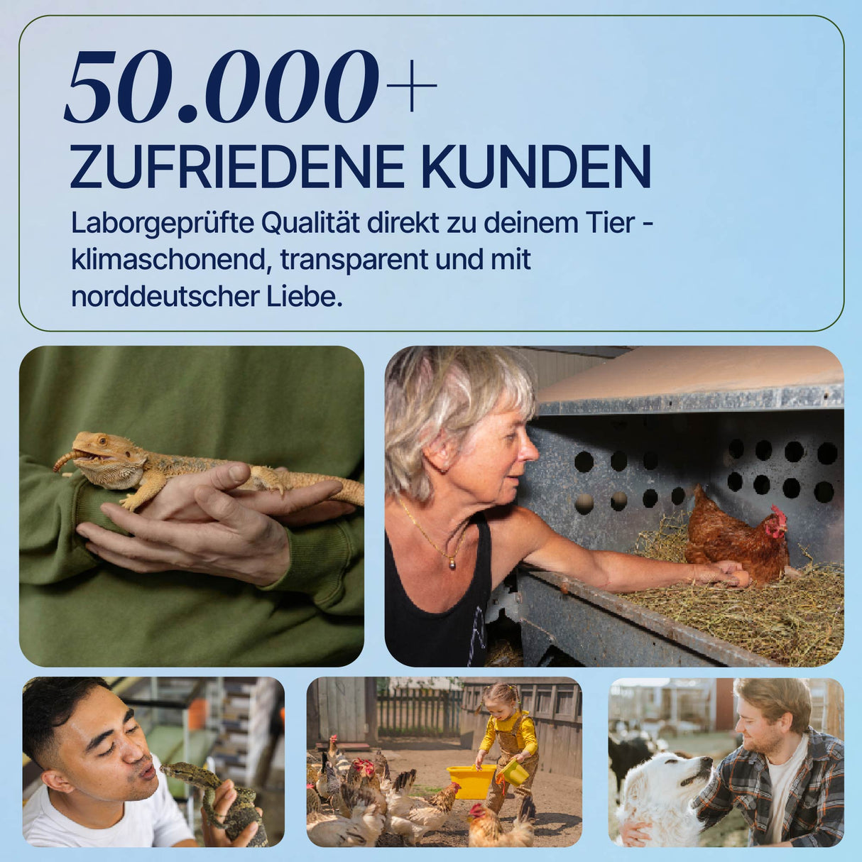 Gefrorene Buffalowürmer Buffalos Futterinsekten einzeln entnehmbar
