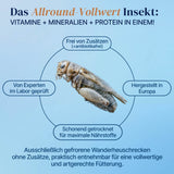 Gefrorene Heimchen