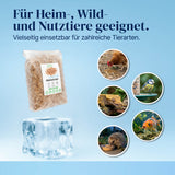 Gefrorene Mehlwürmer einzeln entnehmbar