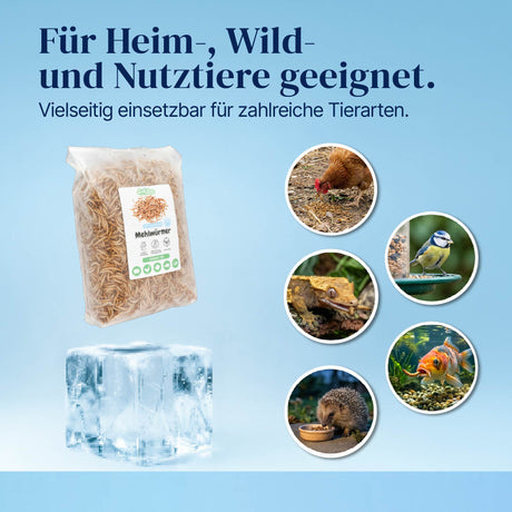 Gefrorene Mehlwürmer einzeln entnehmbar