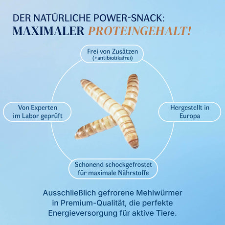 Gefrorene Mehlwürmer einzeln entnehmbar
