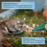 Gefrorene Pinky Maden (Lucilia sp.) Goldfliege Maden - einzeln entnehmbar