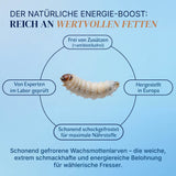 Gefrorene Wachsmotten Larven / Bienenmaden Larven - Blanchiert - einzeln entnehmbar