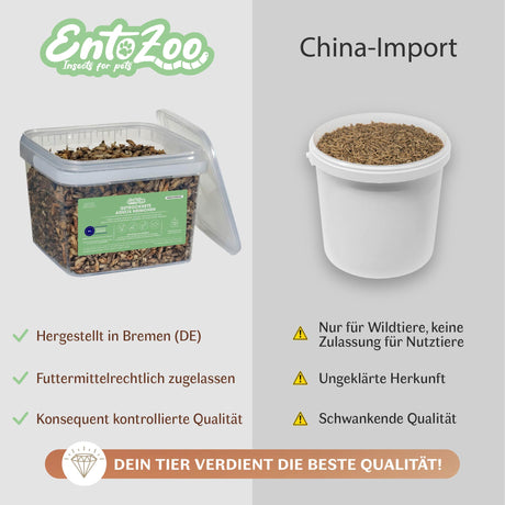 Getrocknete Heimchen Acheta domesticus  - groß - mit Beinen und Flügeln