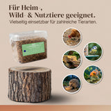 Insekten Mix Schwarze Soldatenfliege und Mehlwurm