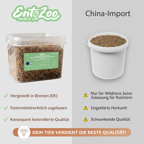 Insekten Mix Schwarze Soldatenfliege und Mehlwurm